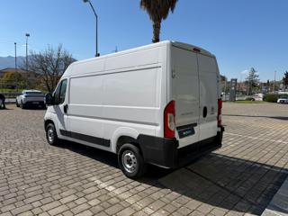 FIAT Ducato usata, con Airbag Passeggero