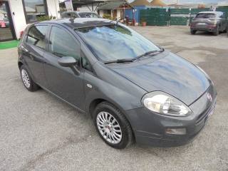 FIAT Punto usata 16
