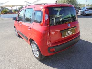 FIAT Panda usata, con Immobilizzatore elettronico