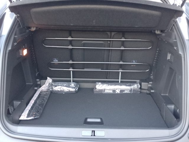 PEUGEOT 3008 usata, con Cruise Control