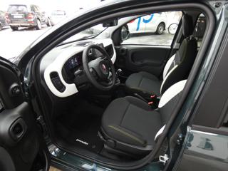 FIAT Pandina usata, con Climatizzatore