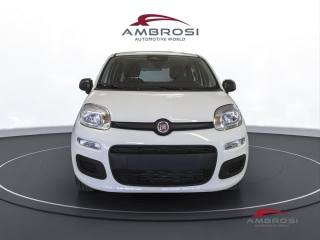 FIAT Panda usata 5