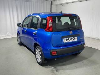 FIAT Panda usata, con Airbag Passeggero