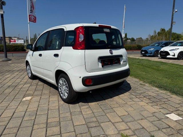 FIAT Panda usata, con Alzacristalli elettrici