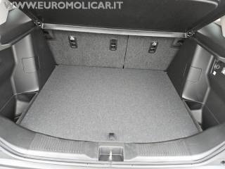 SUZUKI S-Cross usata, con Cruise Control