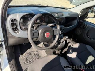 FIAT Panda usata 16