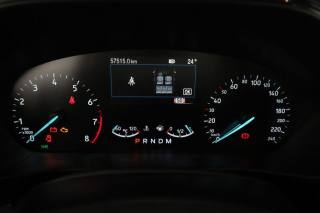 FORD Focus usata 6