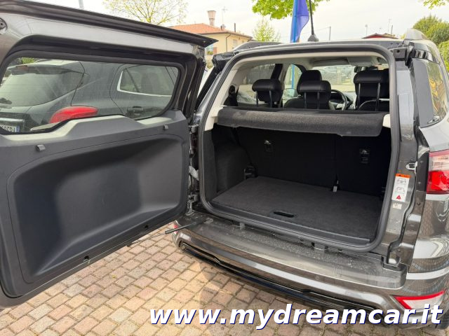 FORD EcoSport usata, con Airbag testa