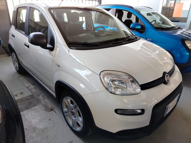 FIAT Panda usata, con Servosterzo