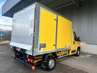 FIAT Ducato usata, con Antifurto