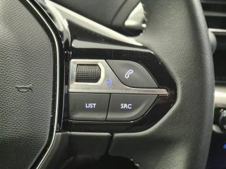 PEUGEOT 3008 usata, con Sedile posteriore sdoppiato