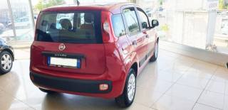 FIAT Panda usata, con Alzacristalli elettrici