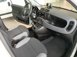 FIAT Panda usata, con Servosterzo