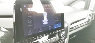 FORD Fiesta usata 62