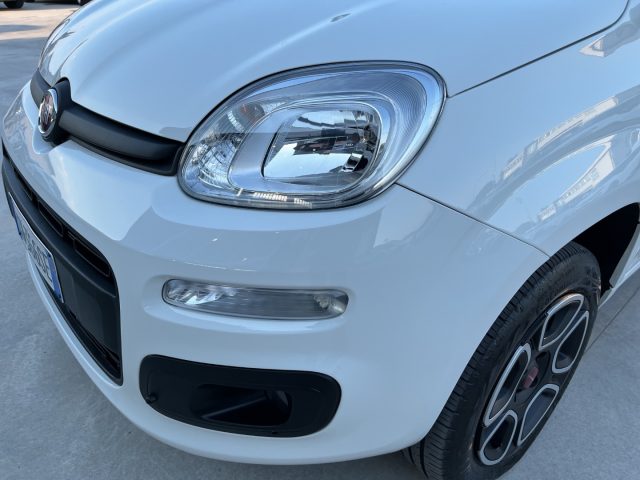 FIAT Panda usata 15