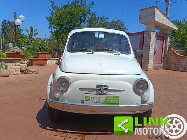 FIAT 500 usata 51