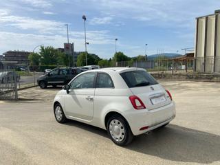 FIAT 500 usata 18