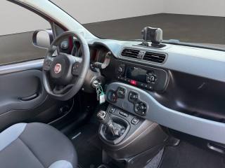 FIAT Panda usata 9