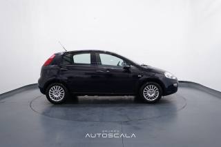 FIAT Punto usata, con Controllo trazione