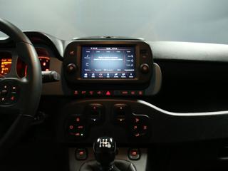FIAT Panda Cross usata, con Fendinebbia