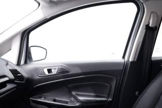 FORD EcoSport usata, con Autoradio digitale