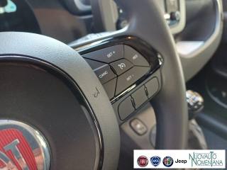 FIAT Panda usata, con Volante multifunzione