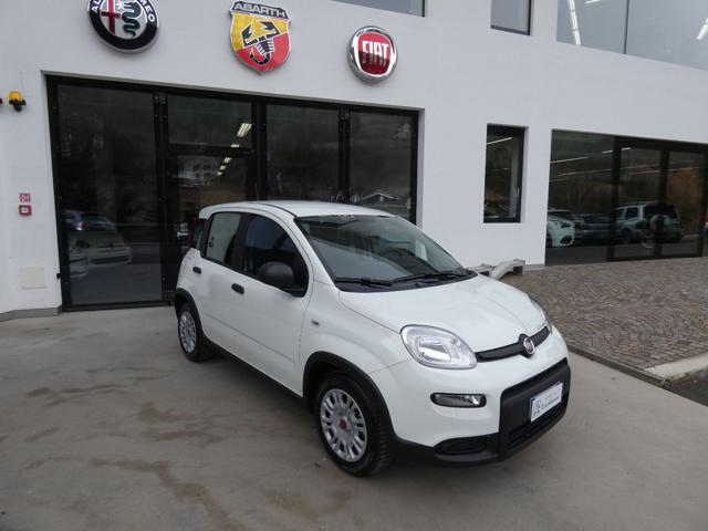 FIAT Panda usata, con ABS