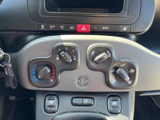 FIAT Panda usata 12