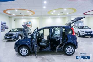 FIAT Panda usata, con USB