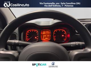 FIAT Panda usata, con Fendinebbia