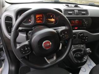 FIAT Panda usata, con Volante multifunzione