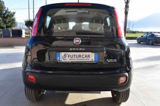 FIAT Panda usata 12