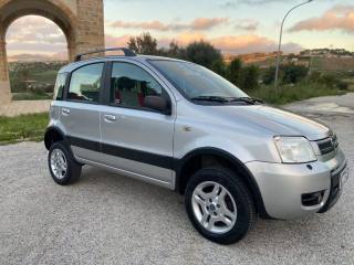 FIAT Panda usata, con Fendinebbia