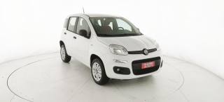FIAT Panda usata 24