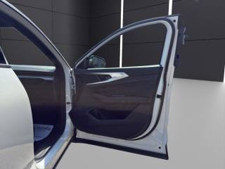 RENAULT Austral usata, con Vetri oscurati