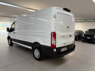 FORD Transit usata, con Fendinebbia