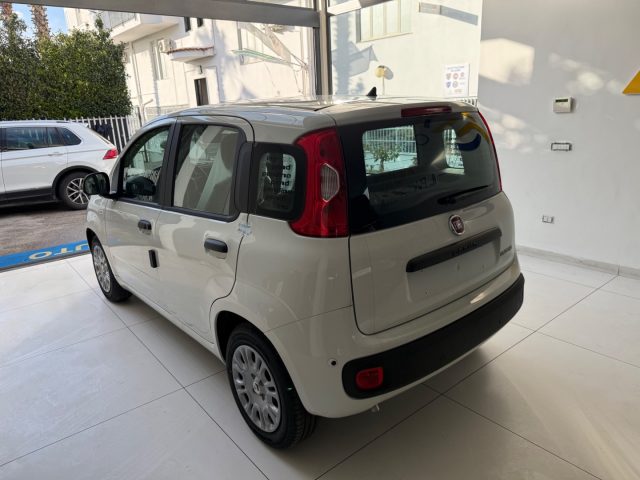 FIAT Panda usata, con Antifurto