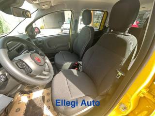 FIAT Pandina usata 22