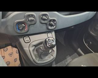 FIAT New Panda usata, con Chiusura centralizzata telecomandata