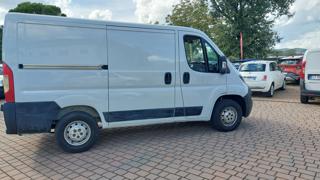 FIAT Ducato usata, con Divisori per bagagliaio