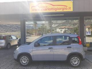 FIAT Panda usata, con Antifurto