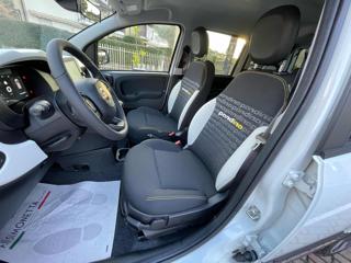 FIAT Panda usata, con Controllo trazione