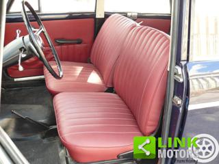 FIAT 1100 usata 10