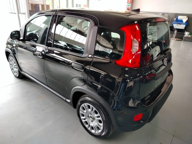 FIAT Panda usata 14