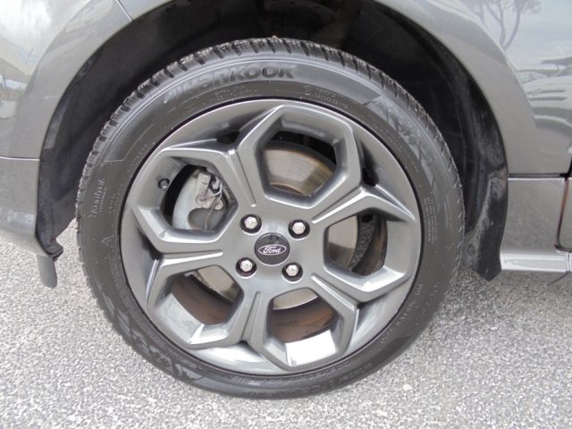 FORD EcoSport usata, con Autoradio