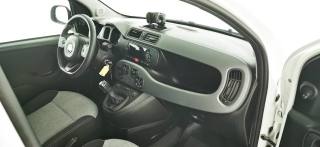 FIAT Panda usata 33