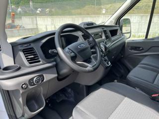 FORD Transit usata, con Fendinebbia