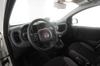FIAT Panda usata 1