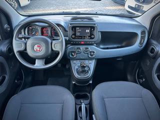 FIAT Panda usata, con Volante multifunzione