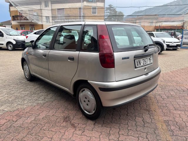 FIAT Punto usata, con Servosterzo
